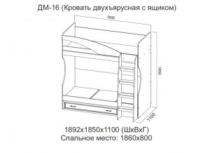 ДМ-16 Кровать двухъярусная с ящиком в Лянторе - lyantor.magazin-mebel74.ru | фото