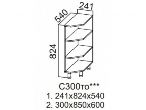 С300то Стол рабочий 300 (торцевой открытый) в Лянторе - lyantor.magazin-mebel74.ru | фото