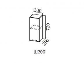 Ш300/720 Шкаф навесной 300/720 в Лянторе - lyantor.magazin-mebel74.ru | фото