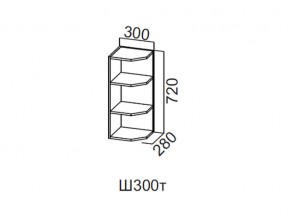 Ш300т/720 Шкаф навесной 300/720 (торцевой) в Лянторе - lyantor.magazin-mebel74.ru | фото