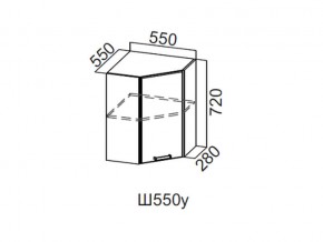 Ш550у/720 Шкаф навесной 550/720 (угловой) в Лянторе - lyantor.magazin-mebel74.ru | фото