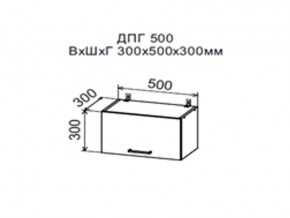 Шкаф верхний ДПГ500 горизонтальный в Лянторе - lyantor.magazin-mebel74.ru | фото